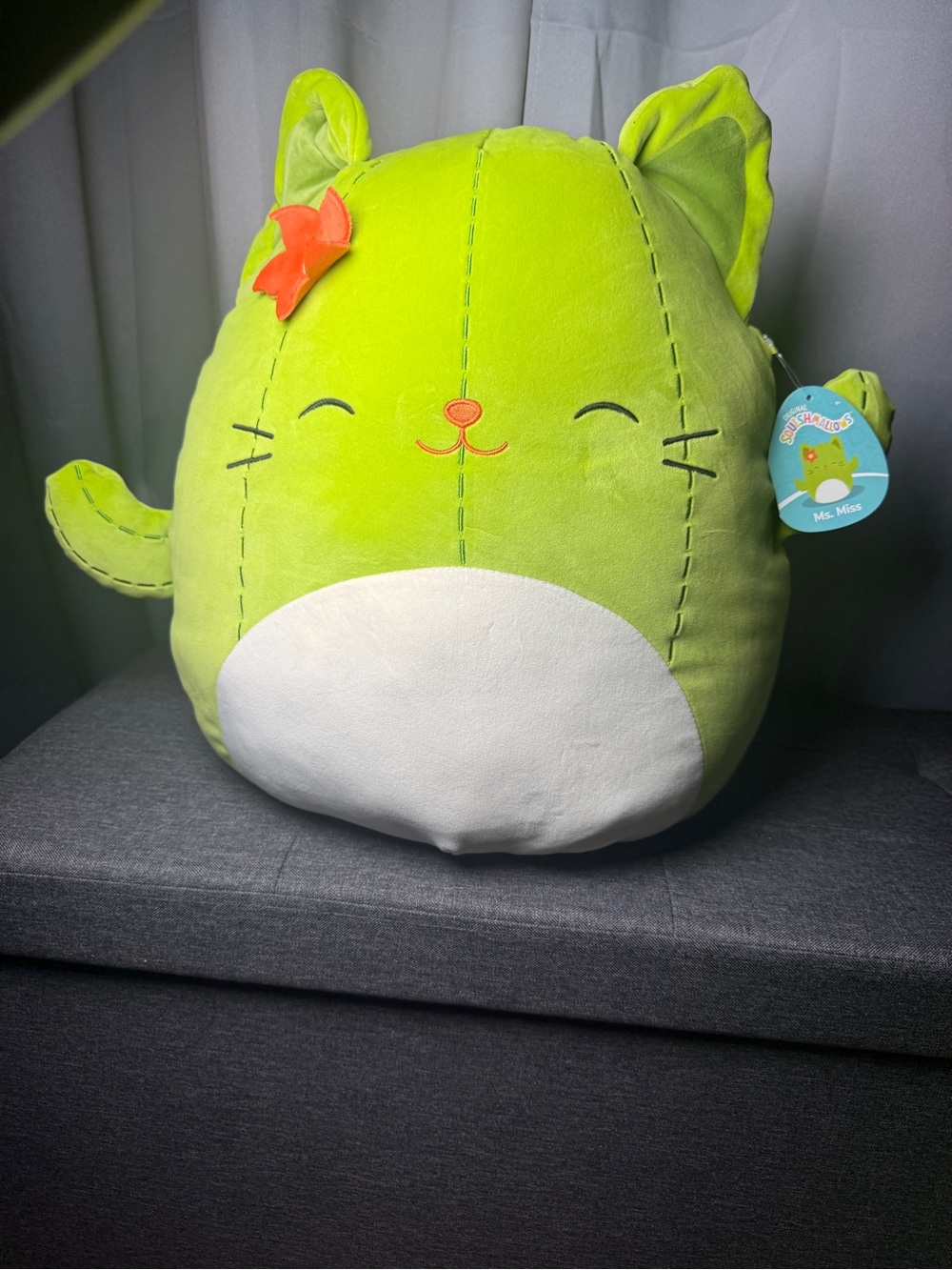 Original Squishmallows 14" Ms. Miss Green Cactus Cat NWT Jazwares Plush